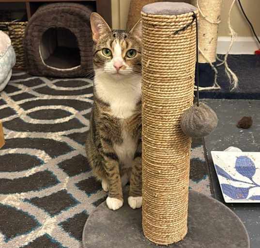 Photo of Janet 0403