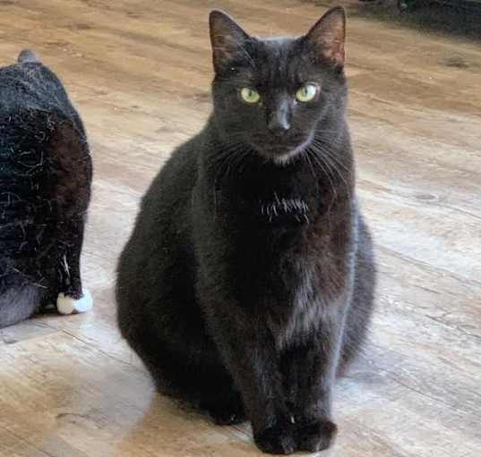 Photo of Isabella