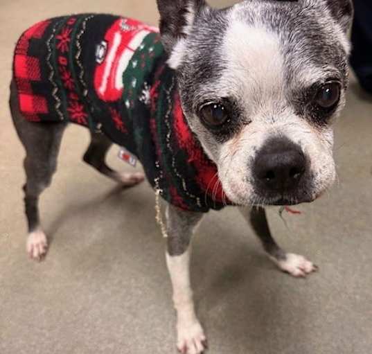 Photo of Mabel