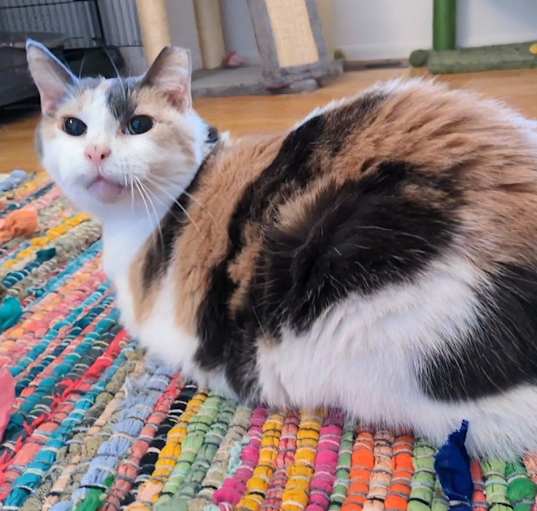 Photo of Margie