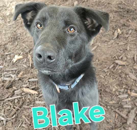 Photo of Blake