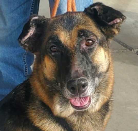 Photo of Fiera