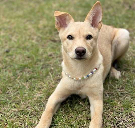 Photo of Rita