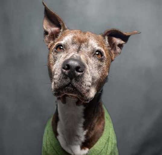 Photo of WALTER