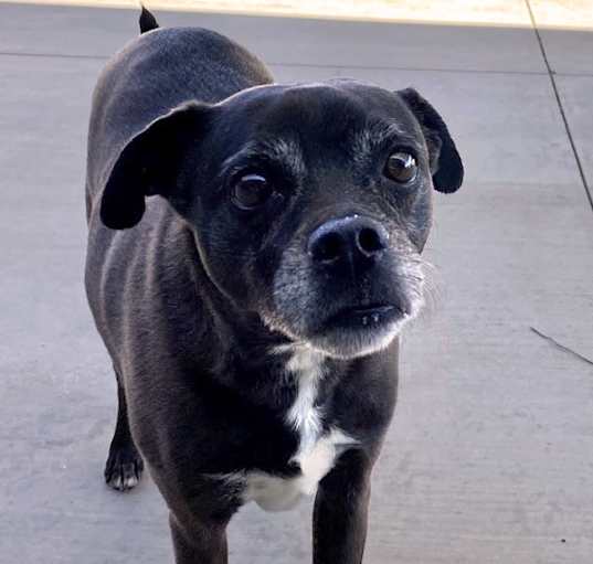 Photo of PACO