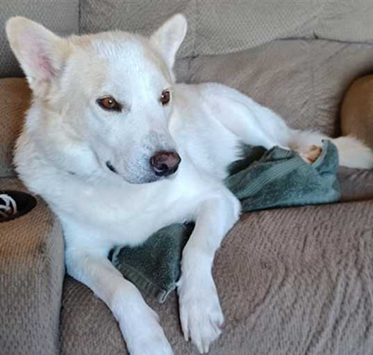 Photo of JASPER