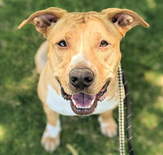 Photo of AJAX (AKA POWERS)