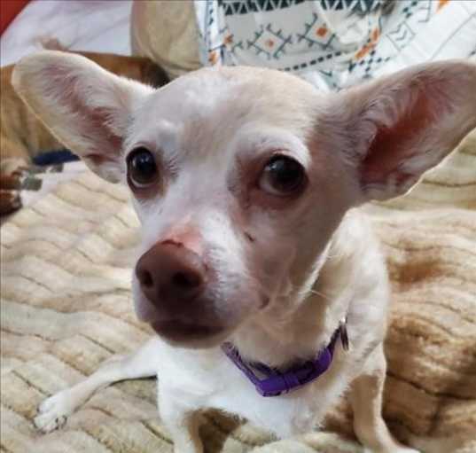Photo of SOOKIE*