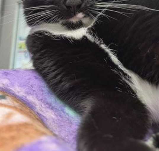 Photo of XENA