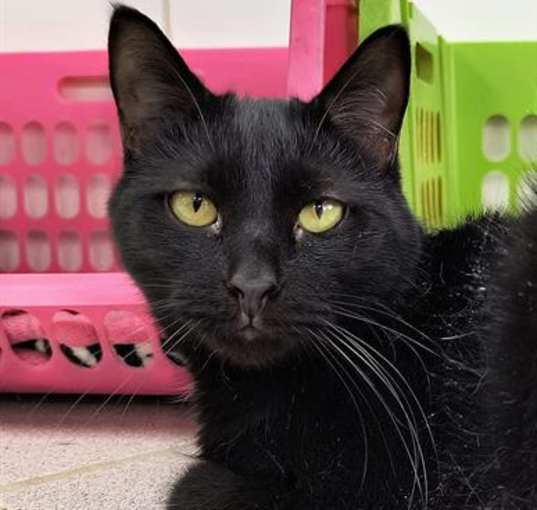 Photo of SLY