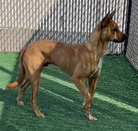Photo of TIZOC