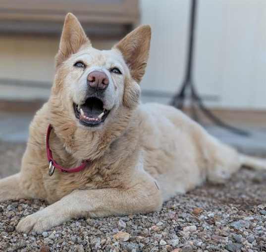 Photo of JASMINE