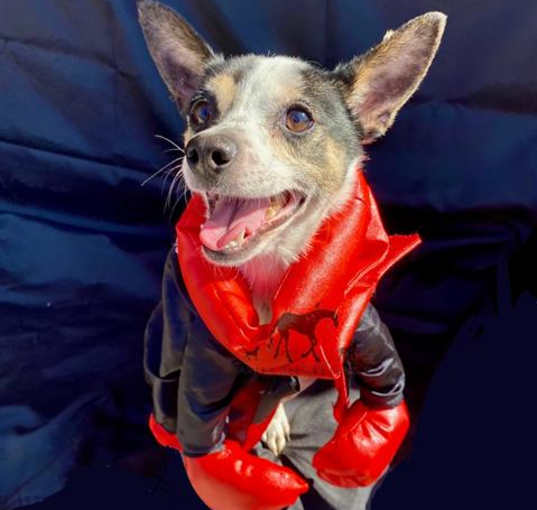 Photo of TOBY