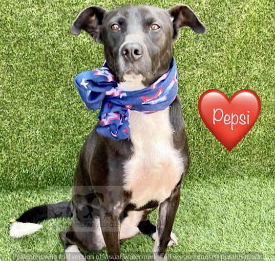 Photo of PEPSI