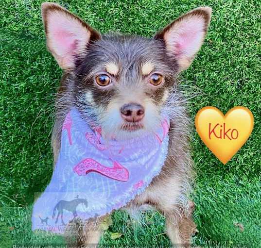 Photo of KIKO