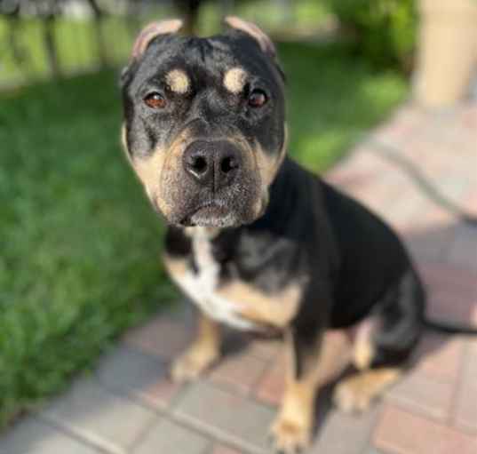 Photo of LOLA