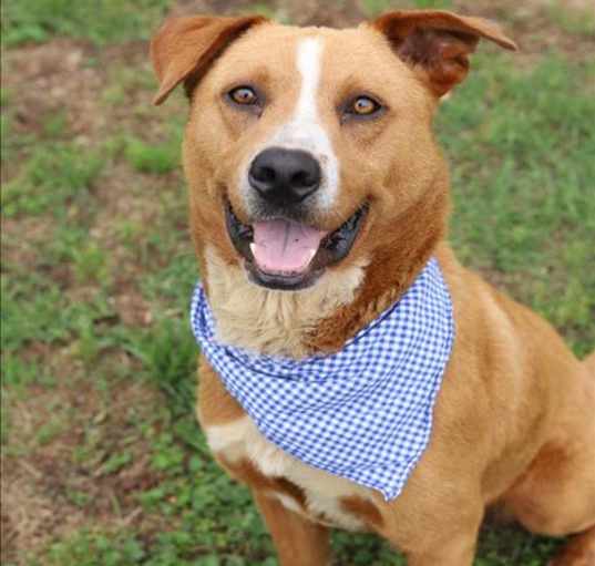 Photo of ROSCO