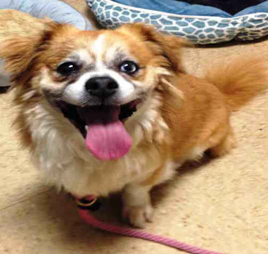 Photo of BENTLEY