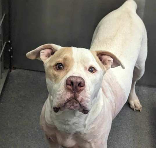 Photo of MAVERICK