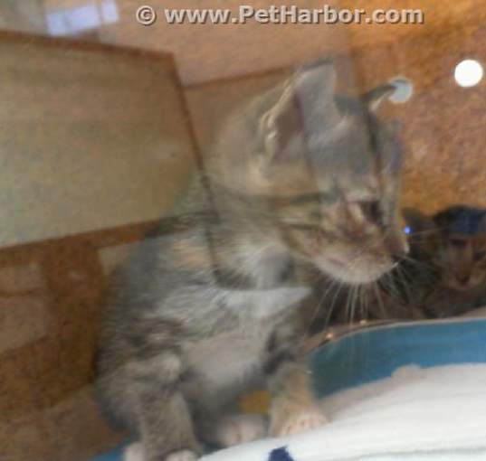 Photo of MINNIE