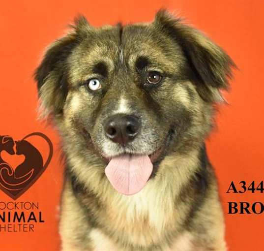 Photo of BRONX