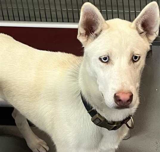 Photo of ZEUS