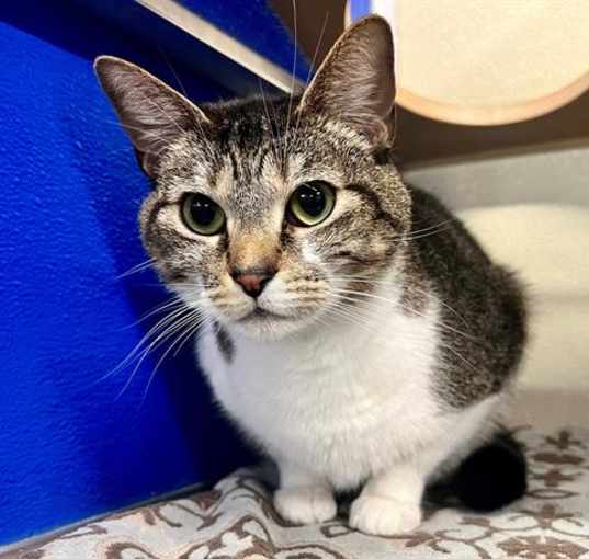 Photo of ZELDA
