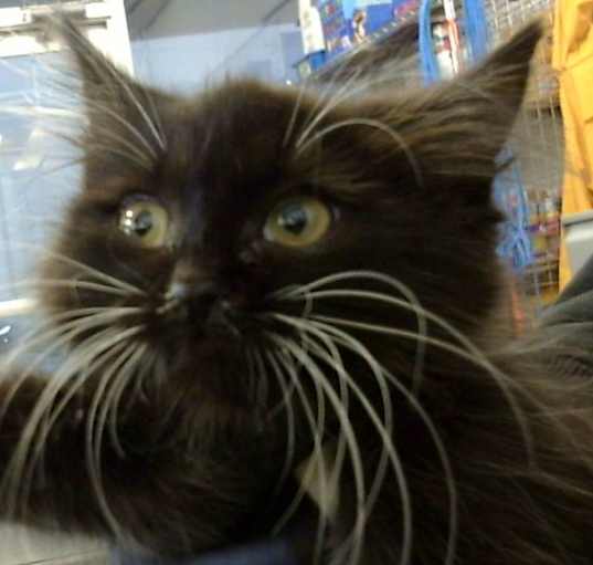 Photo of BUB