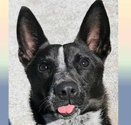 Photo of LEELA