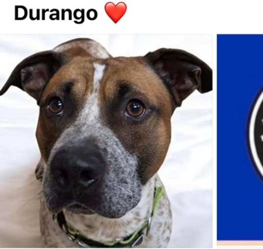 Photo of DURANGO