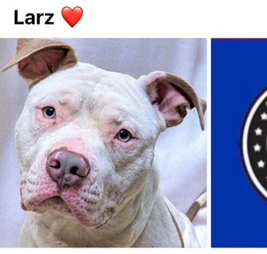Photo of LARZ