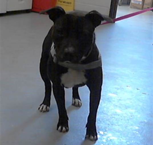 Photo of GHOST