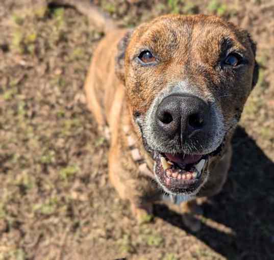 Photo of REX