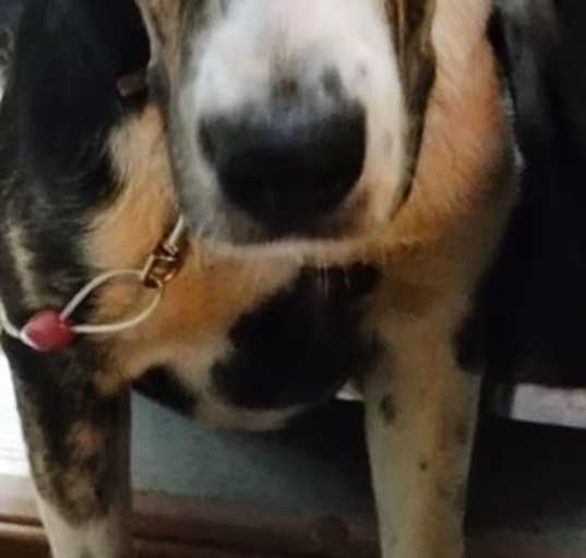 Photo of BLUE