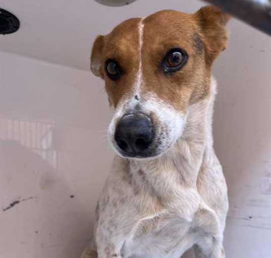 Photo of LUCKY