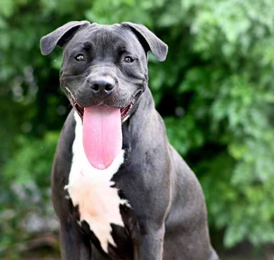 Photo of GROVER