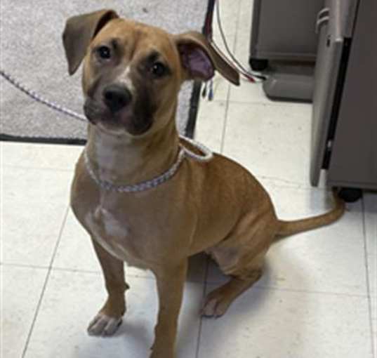 Photo of LORELEI