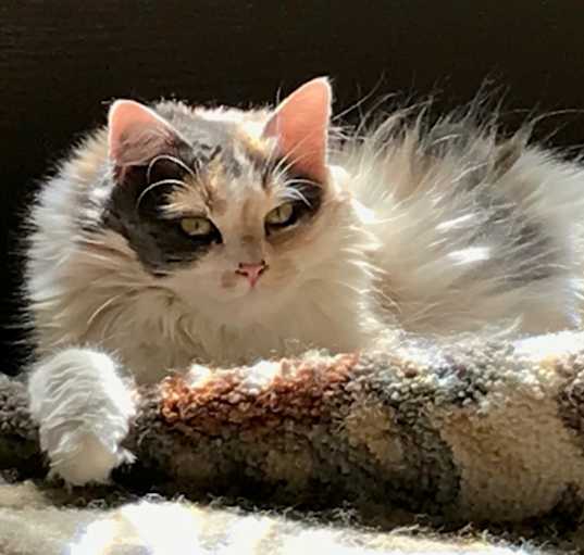 Photo of Chloe