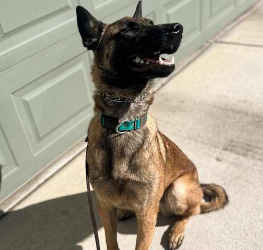 Photo of Doug located in CO