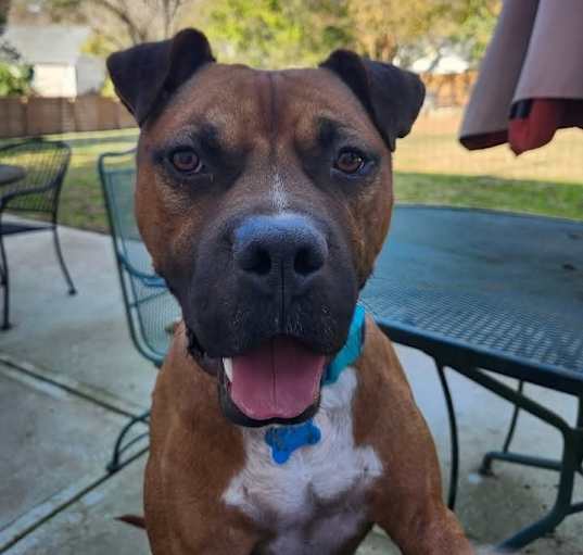 Photo of Rudy