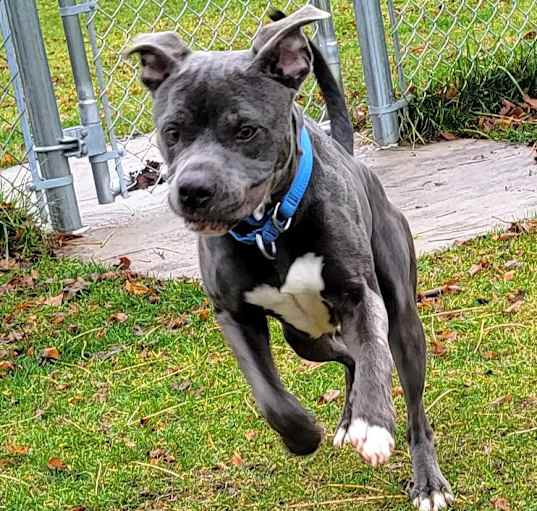 Photo of Apollo