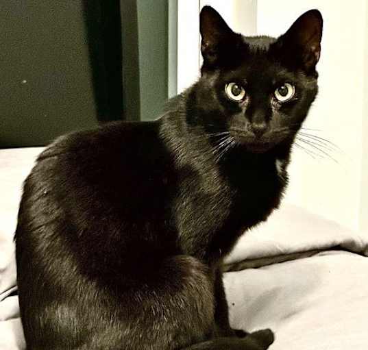 Photo of Ms Onyx