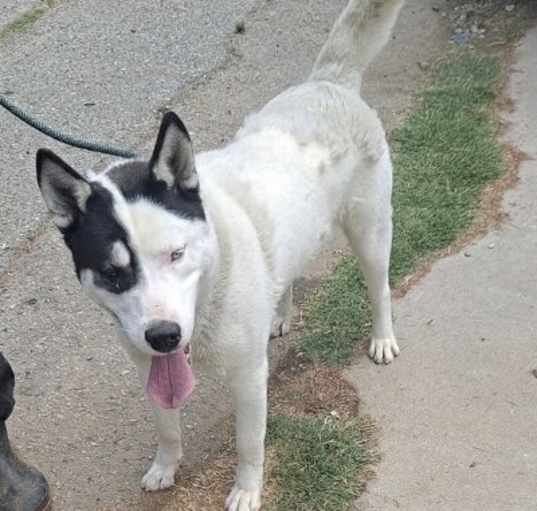 Photo of PATCH