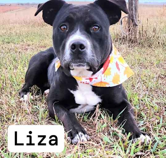 Photo of Liza