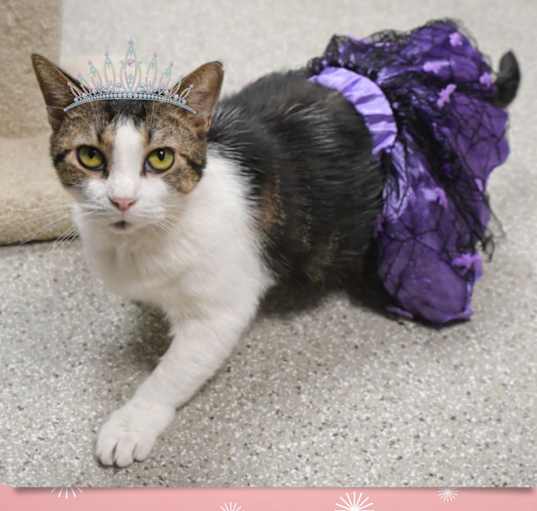 Photo of Glinda