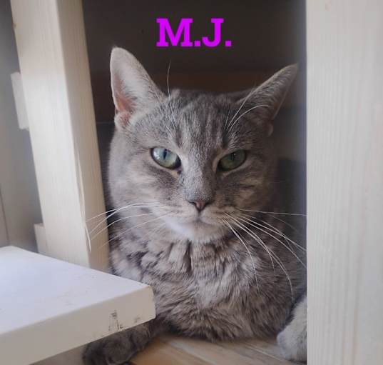 Photo of MJ