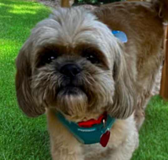 Photo of Chuck
