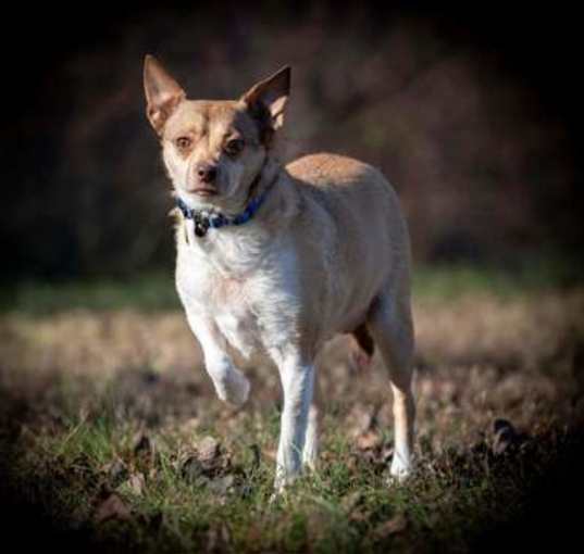 Photo of Tanner