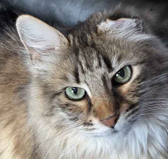 Photo of Queenie Winter