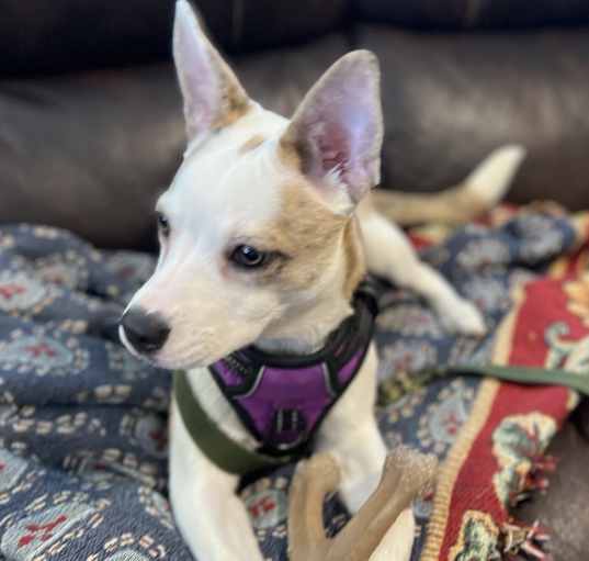 Photo of STORM